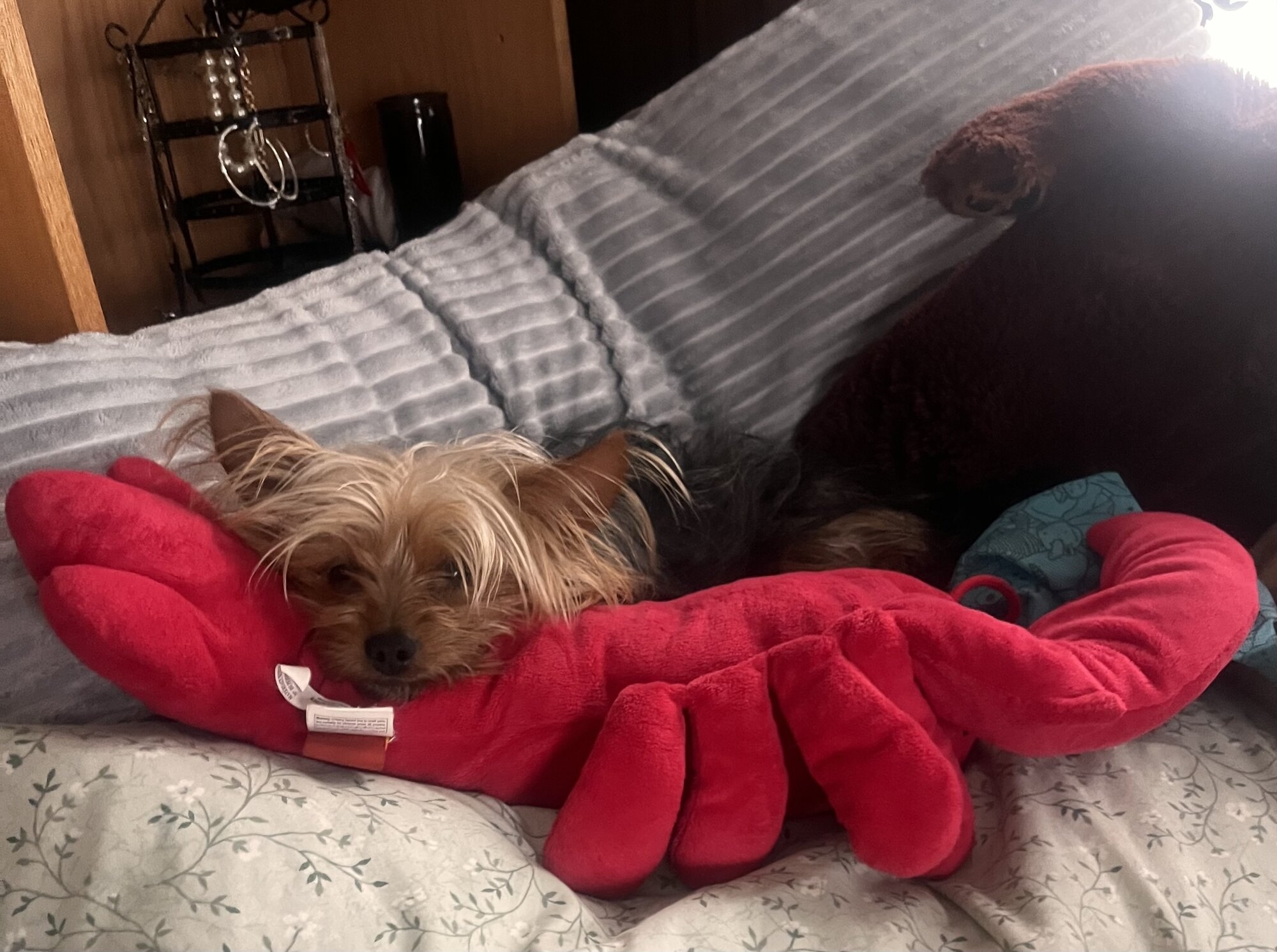 IMG_0021.jpeg