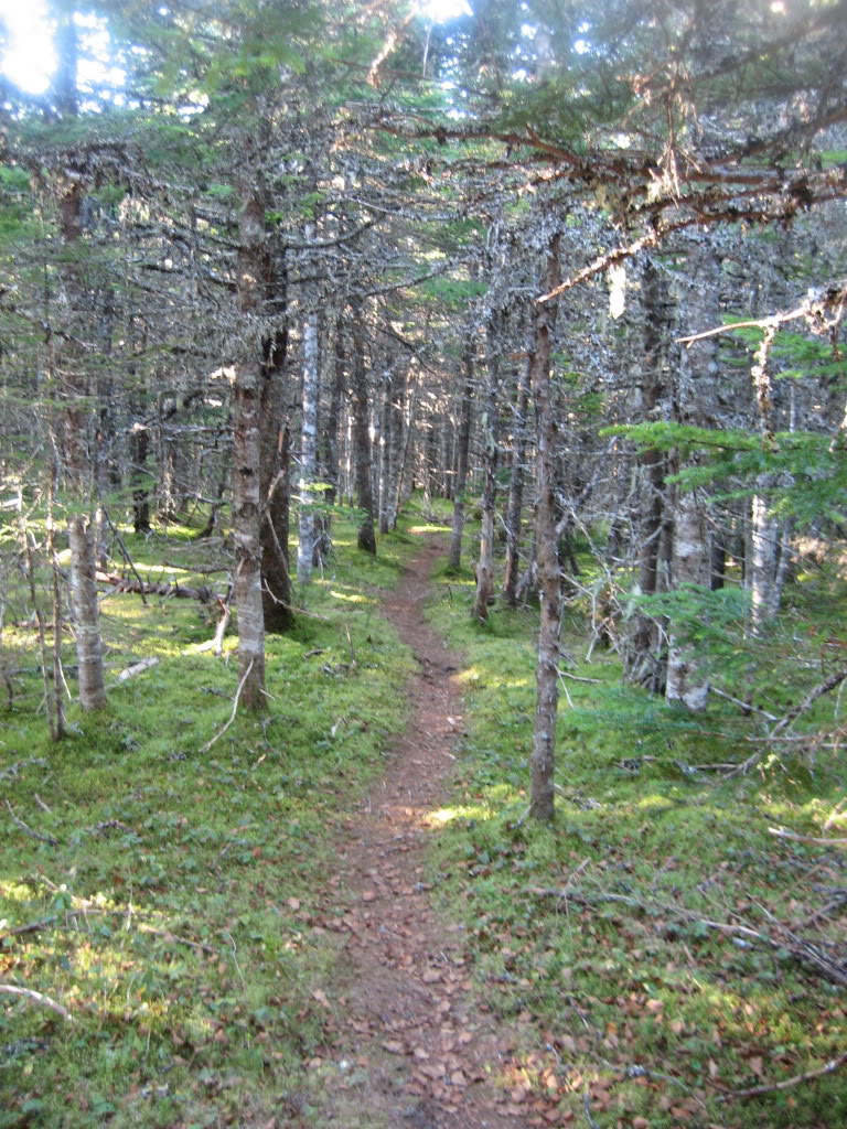 IMG_0021.jpg