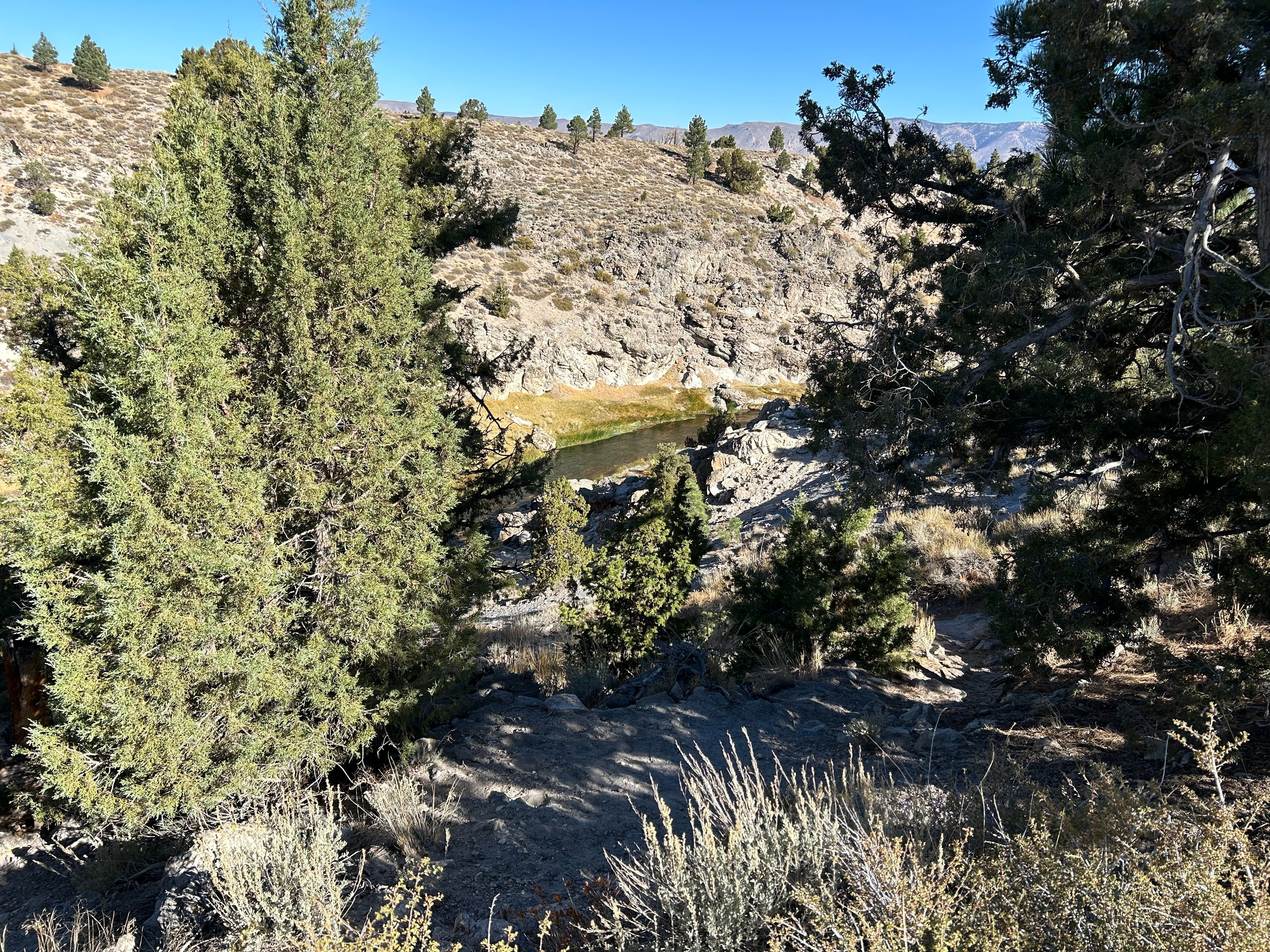 IMG_0041.jpeg
