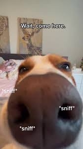 IMG_0046.jpeg