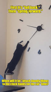 IMG_0069.jpeg
