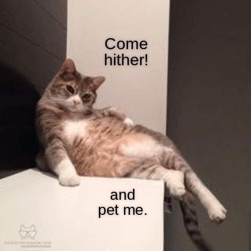 IMG_0080.png