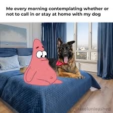 IMG_0083.jpeg