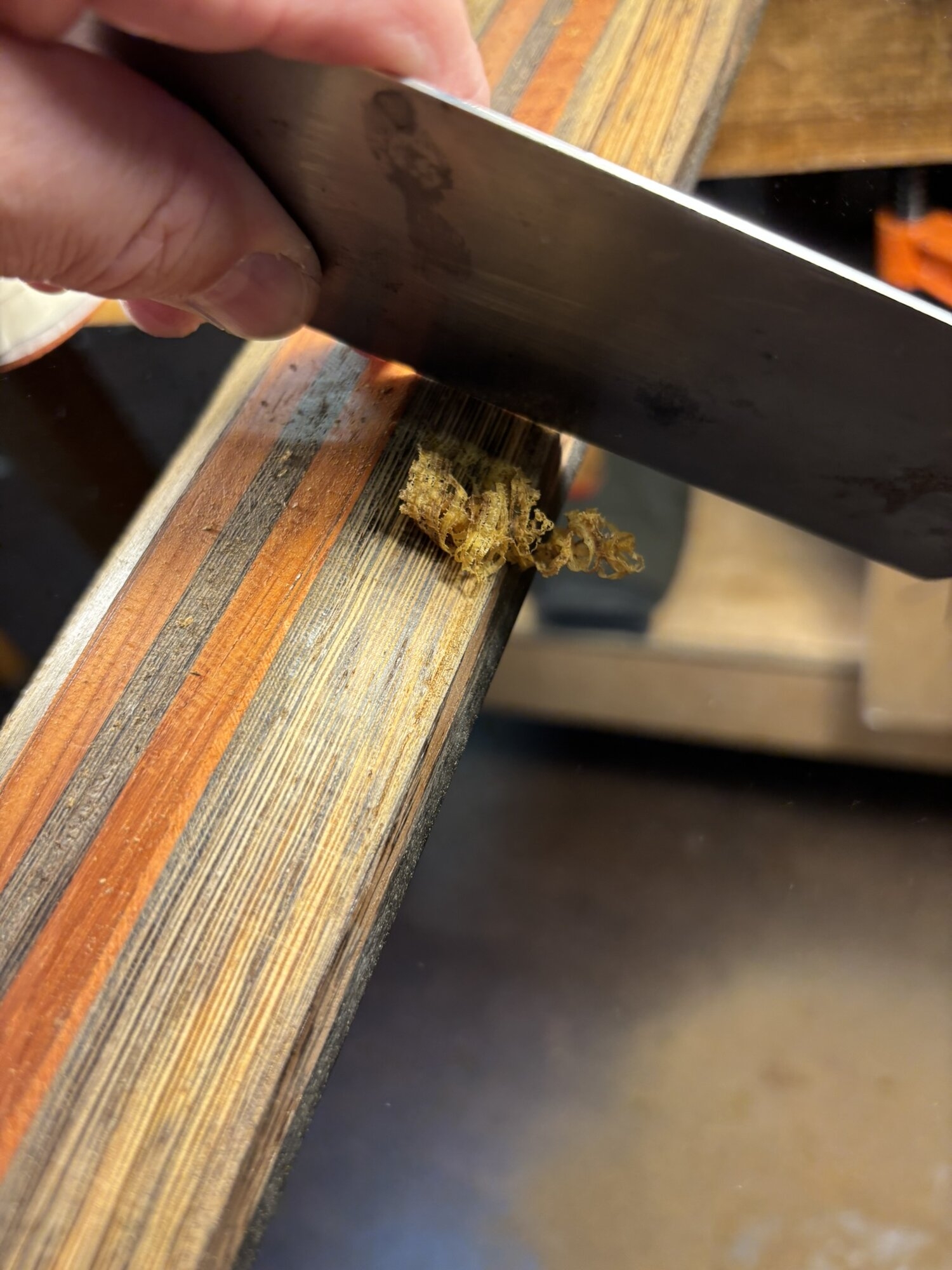 IMG_0093.JPEG