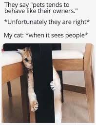 IMG_0104.jpeg