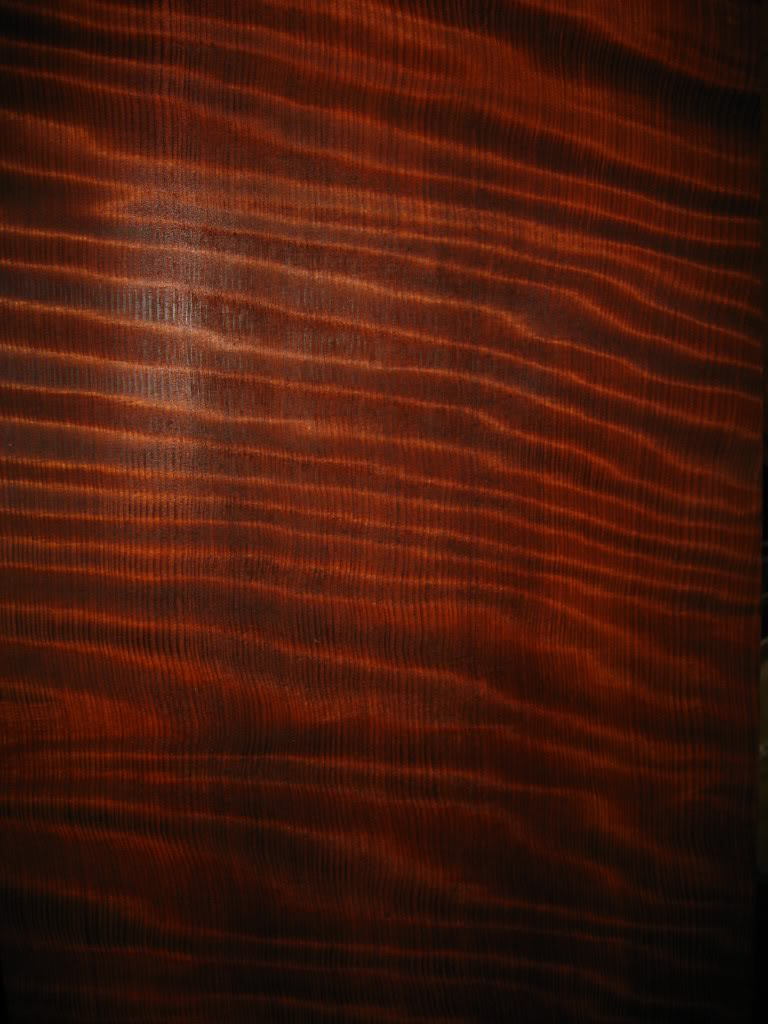 IMG_0104.jpg