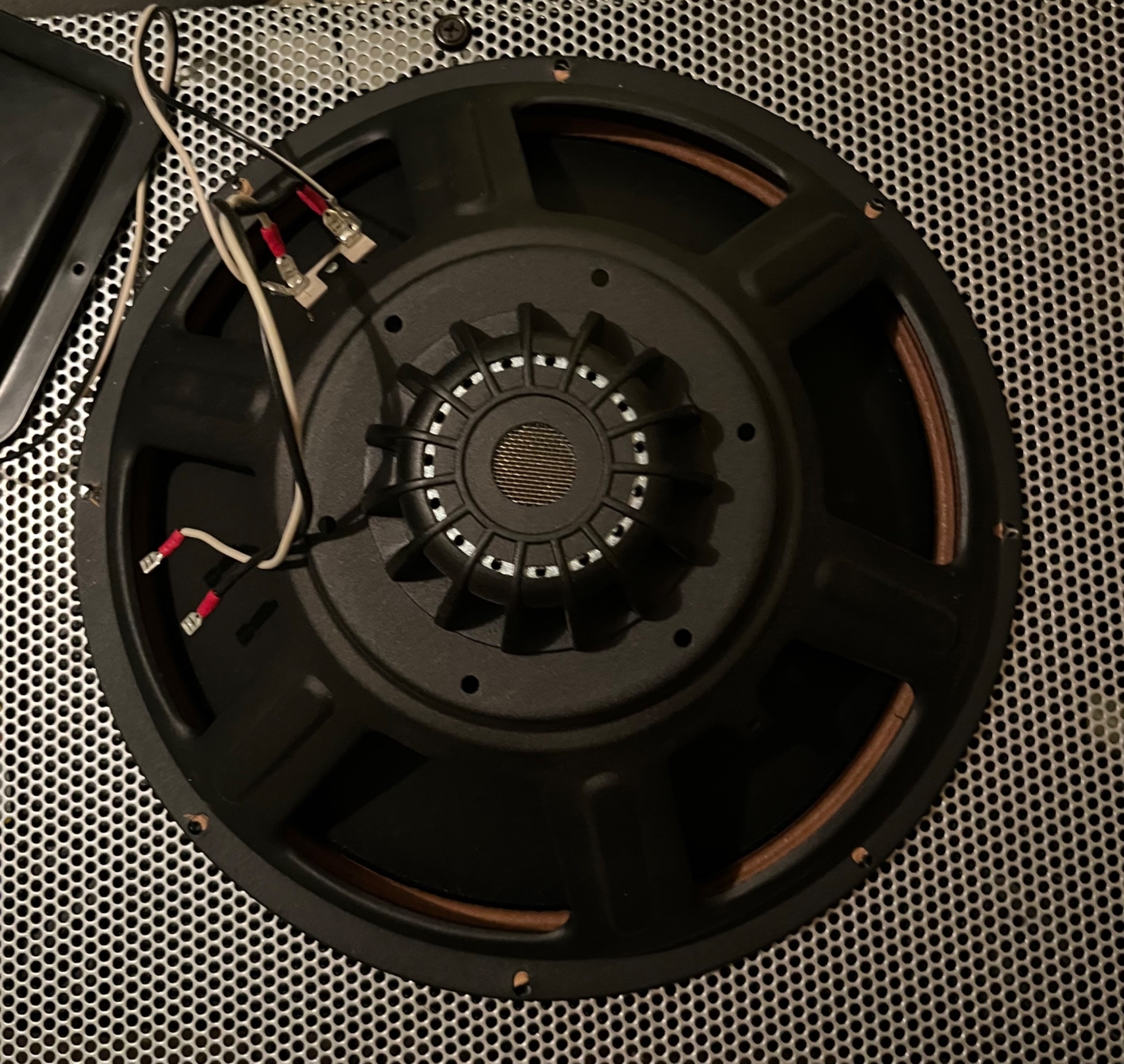 IMG_0105.jpeg