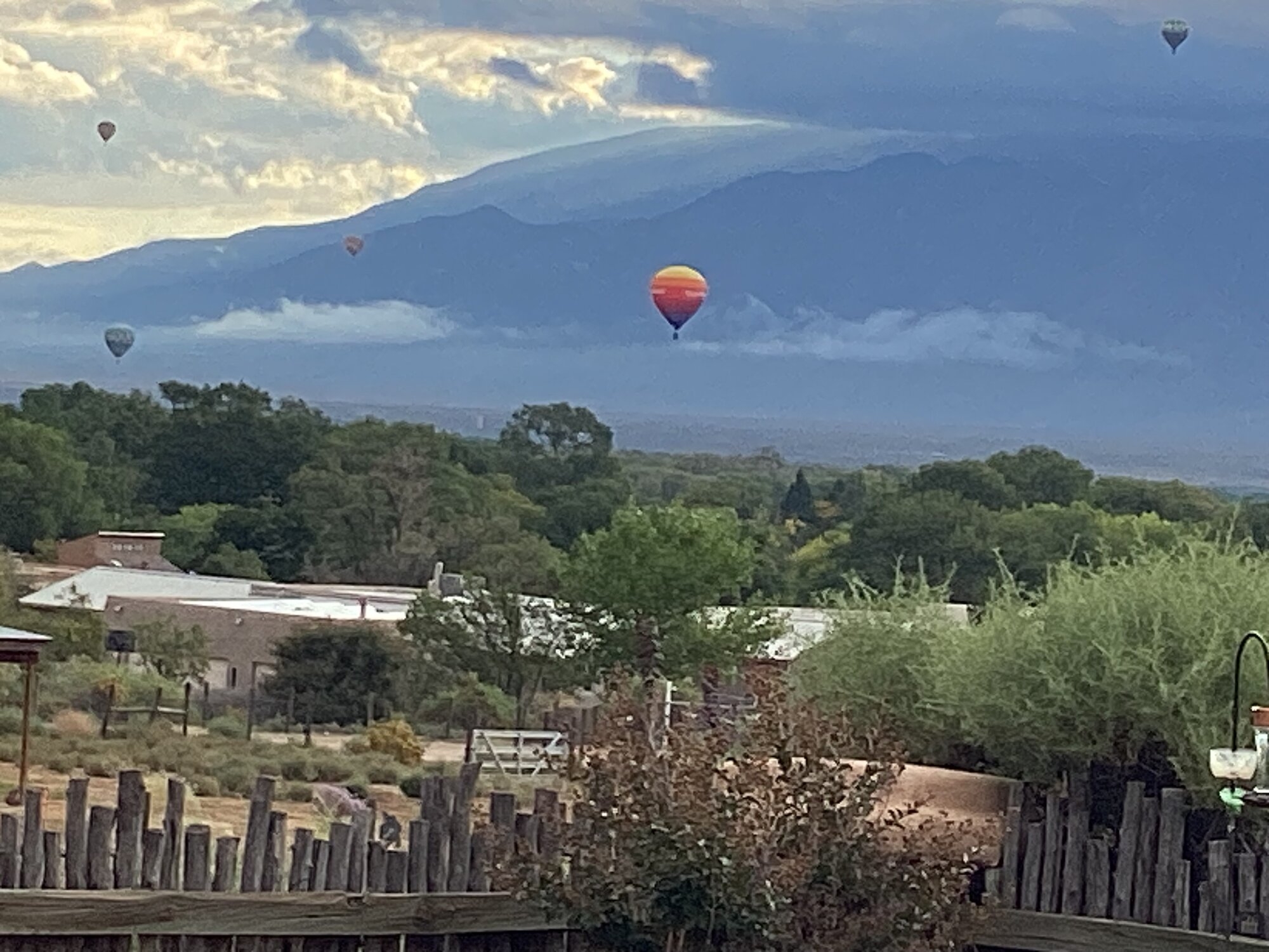IMG_0106.jpeg