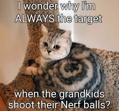 IMG_0110.jpeg