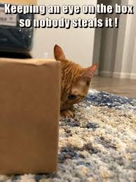 IMG_0111.jpeg