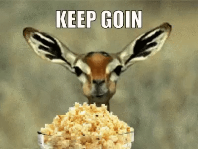 IMG_0117.gif