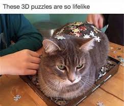 IMG_0128.jpeg