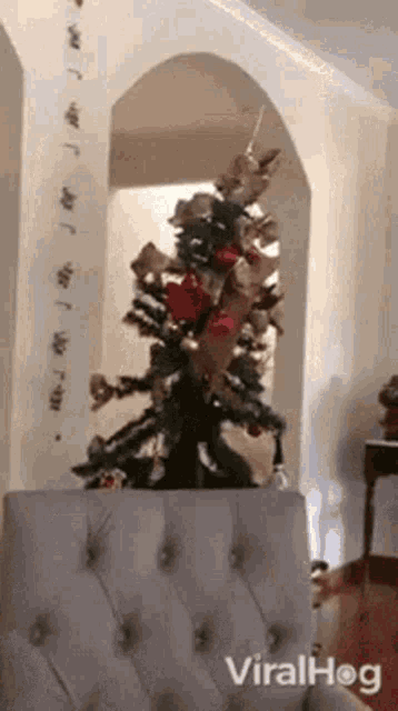 IMG_0140.gif