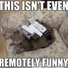 IMG_0153.jpeg