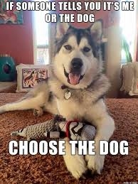 IMG_0156.jpeg