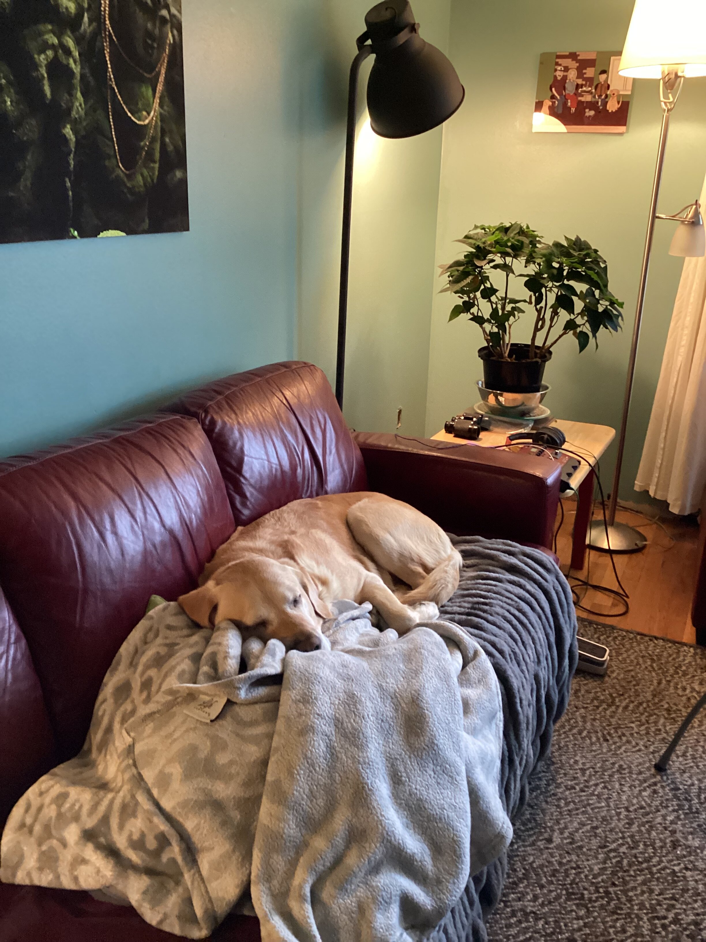 IMG_0165.jpeg