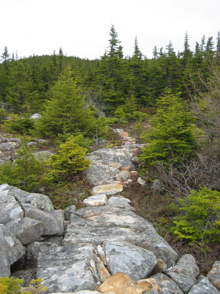 IMG_0167.jpg
