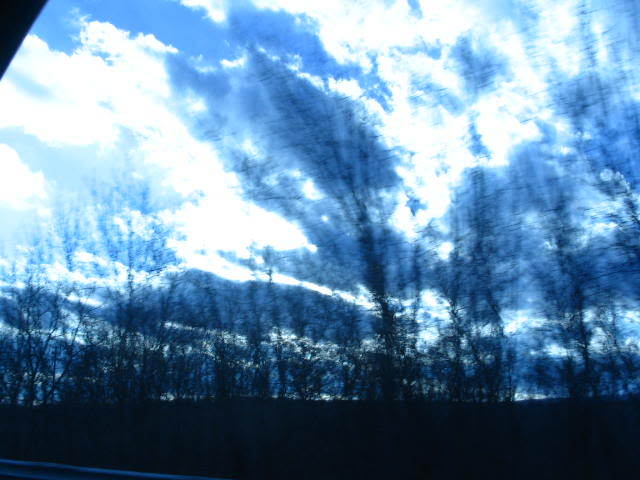 IMG_0170.jpg