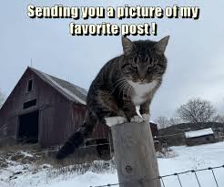 IMG_0175.jpeg