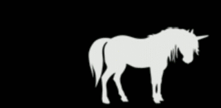 IMG_0182.gif