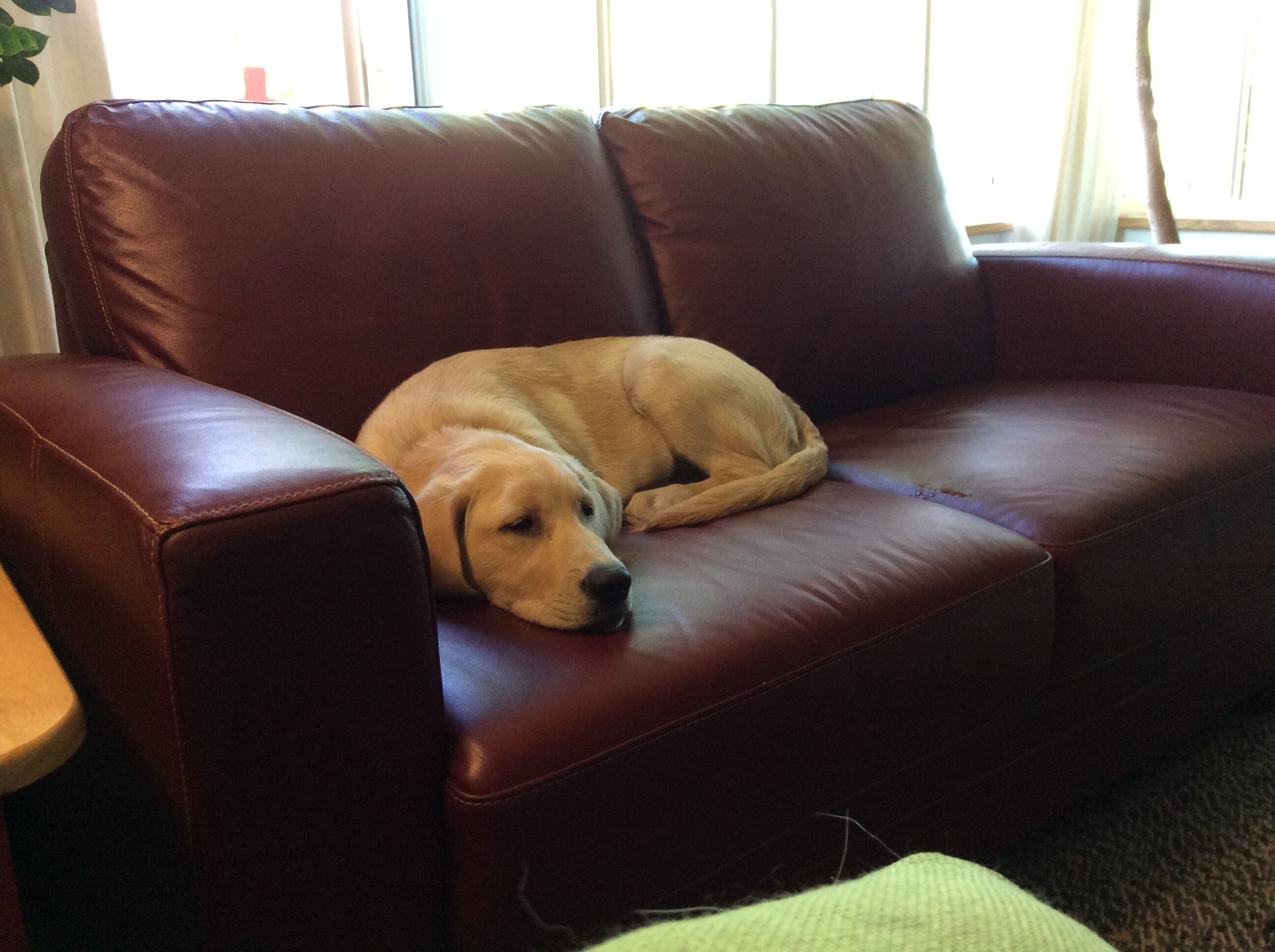 IMG_0189.jpeg