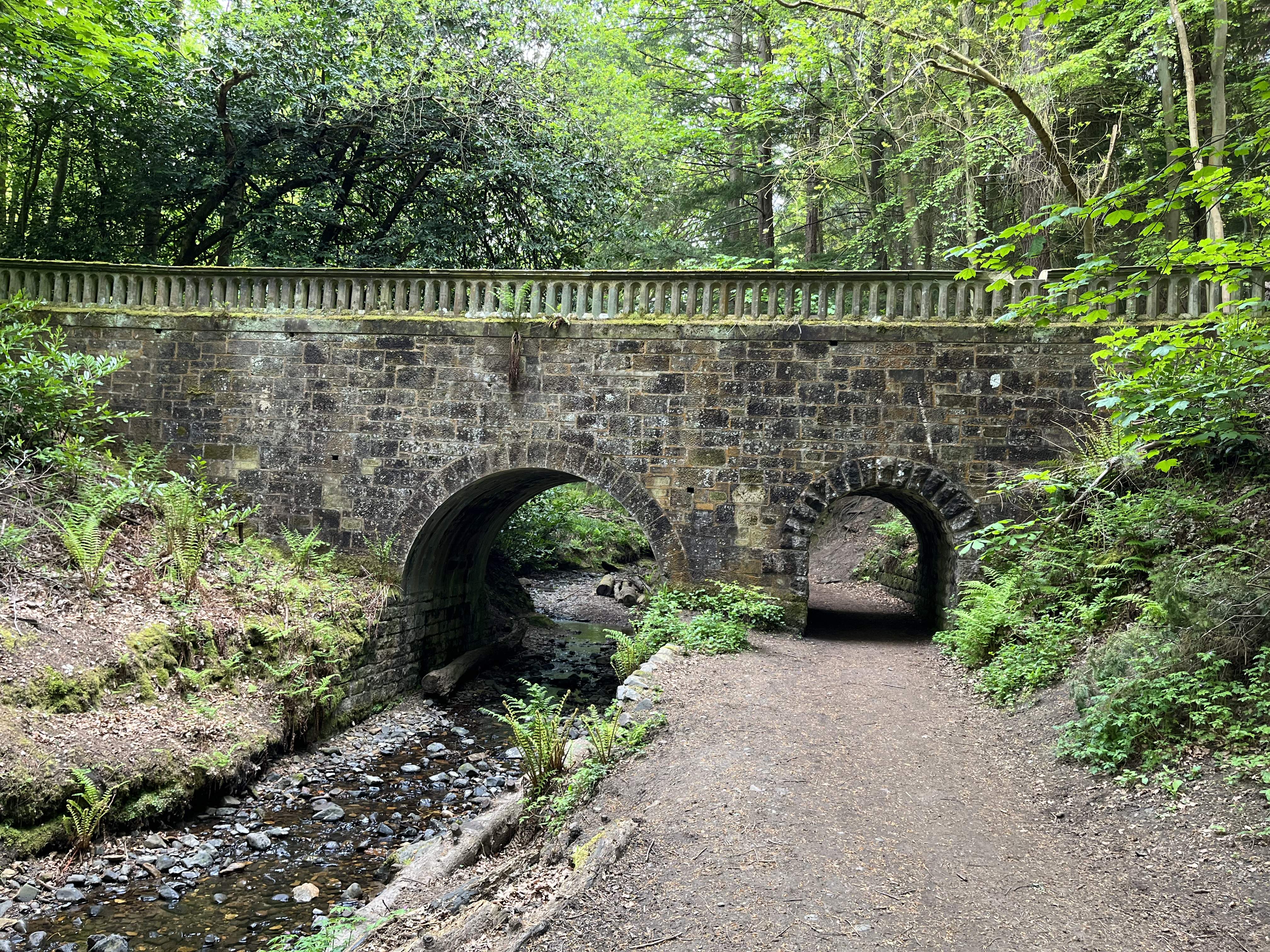 IMG_0214.jpeg
