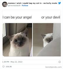IMG_0216.jpeg