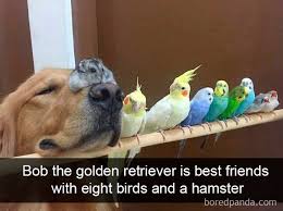 IMG_0222.jpeg