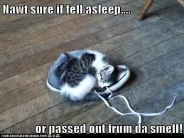IMG_0224.jpeg
