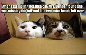 IMG_0232.jpeg