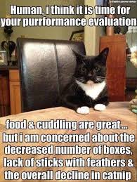 IMG_0233.jpeg