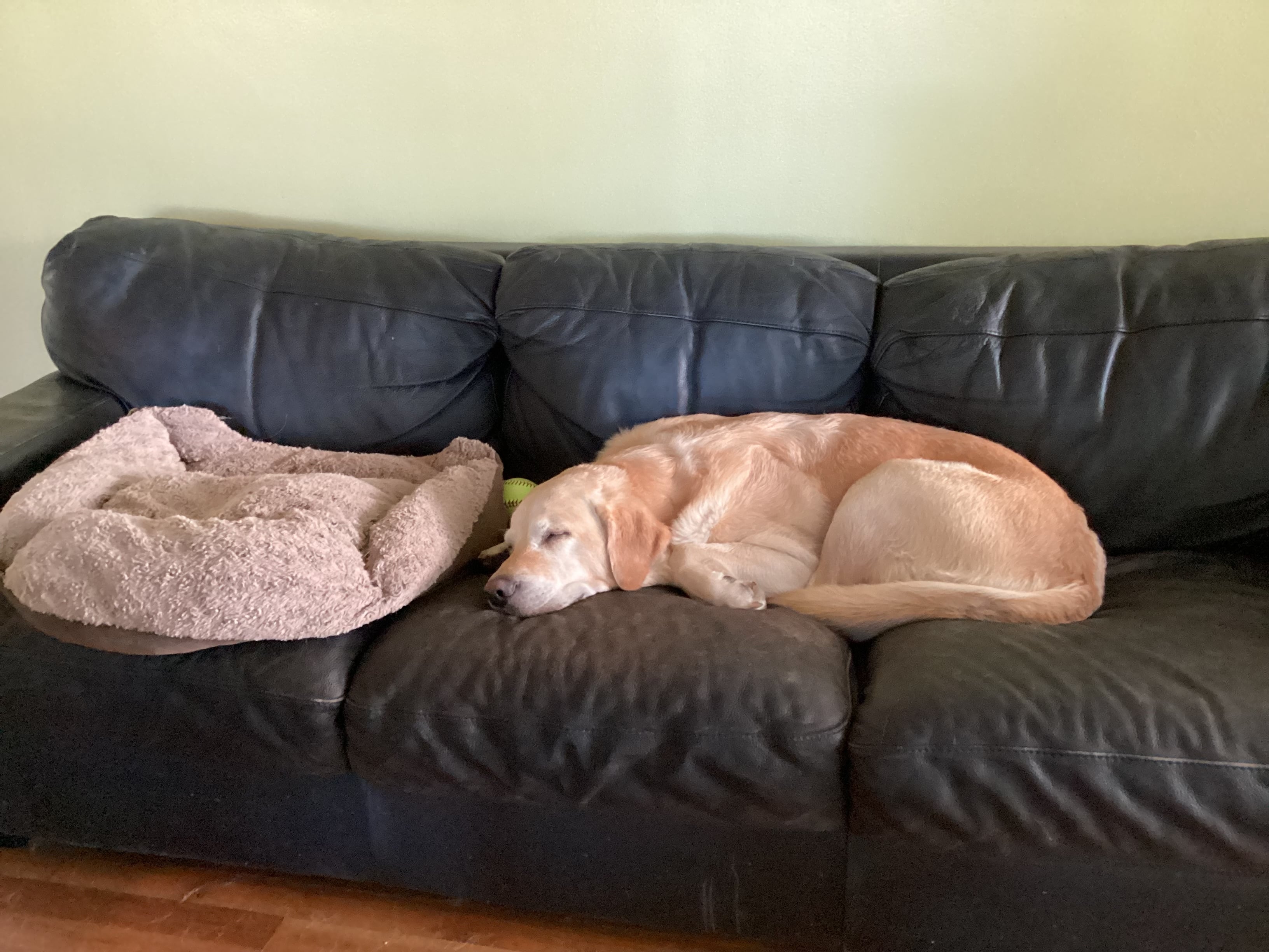 IMG_0239.jpeg
