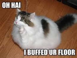 IMG_0243.jpeg