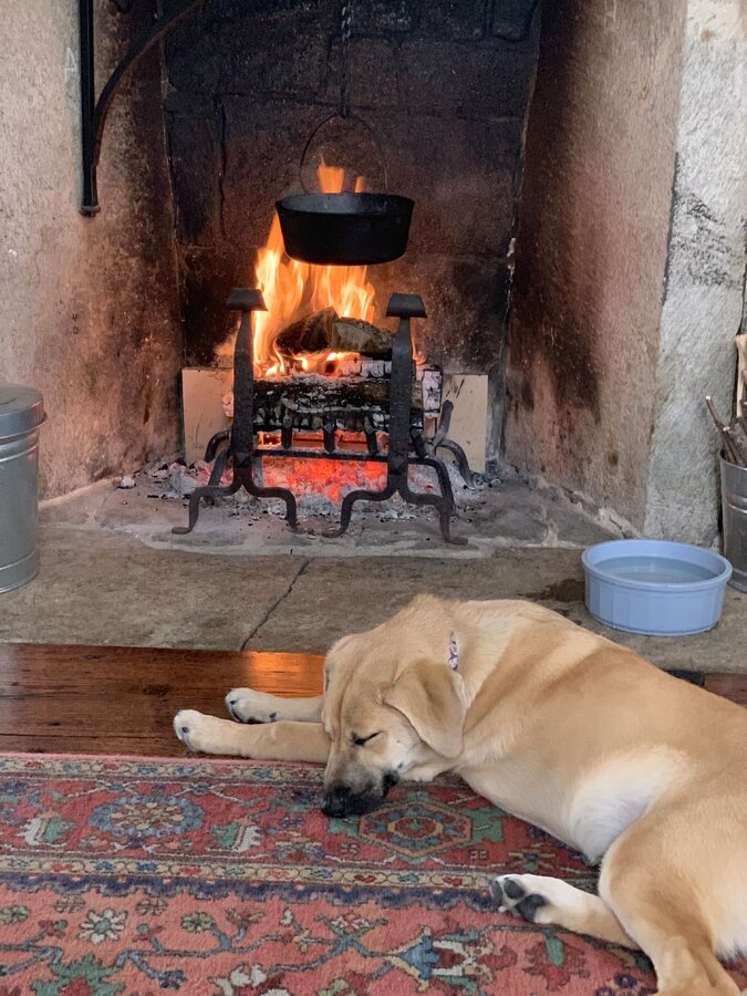 IMG_0248.jpeg