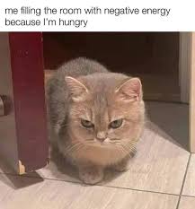 IMG_0279.jpeg