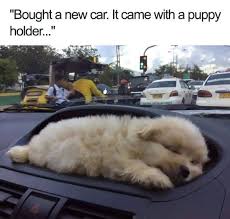 IMG_0284.jpeg
