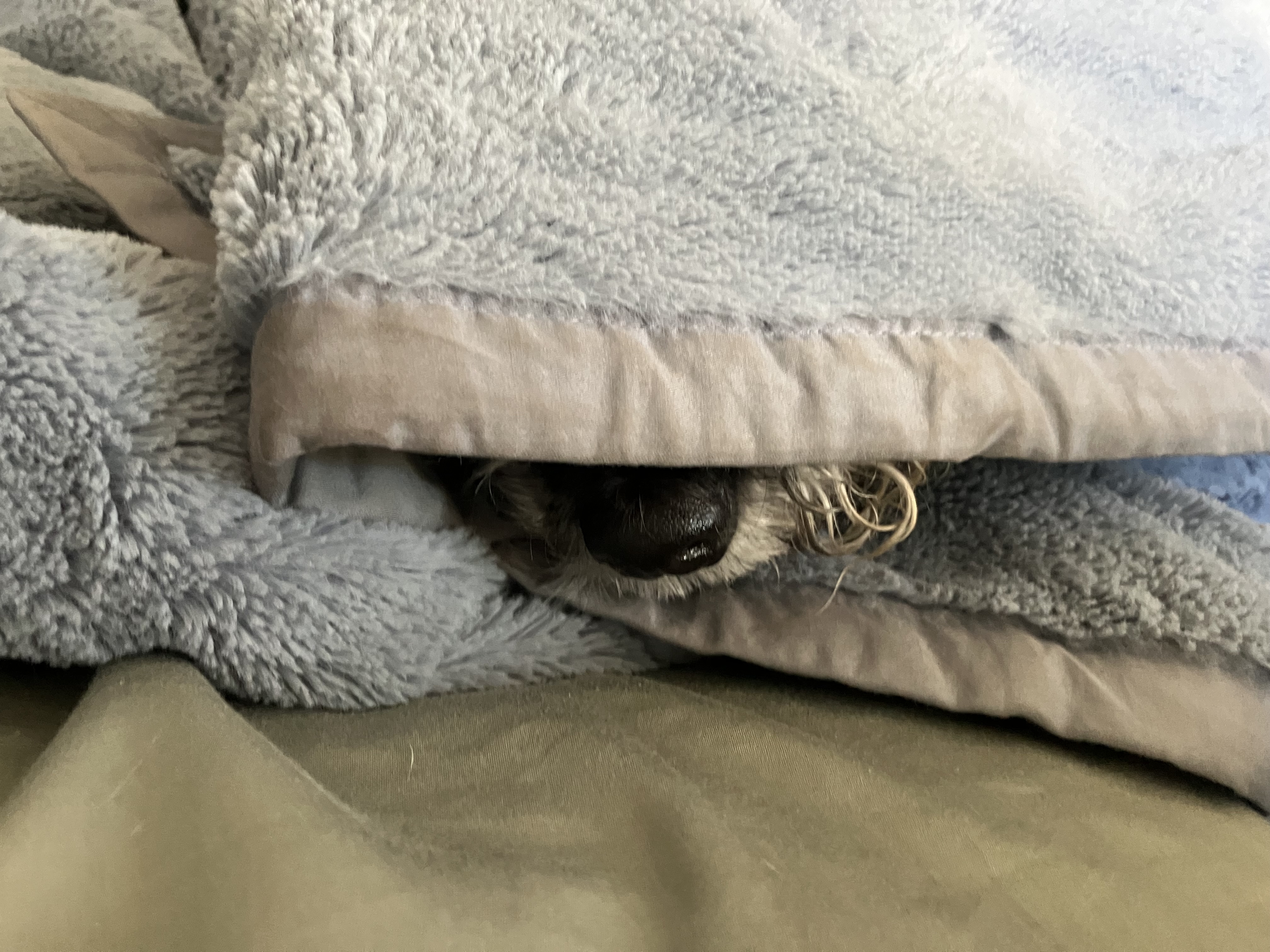 IMG_0290.jpeg