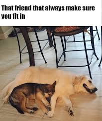 IMG_0291.jpeg