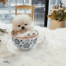 IMG_0298.gif