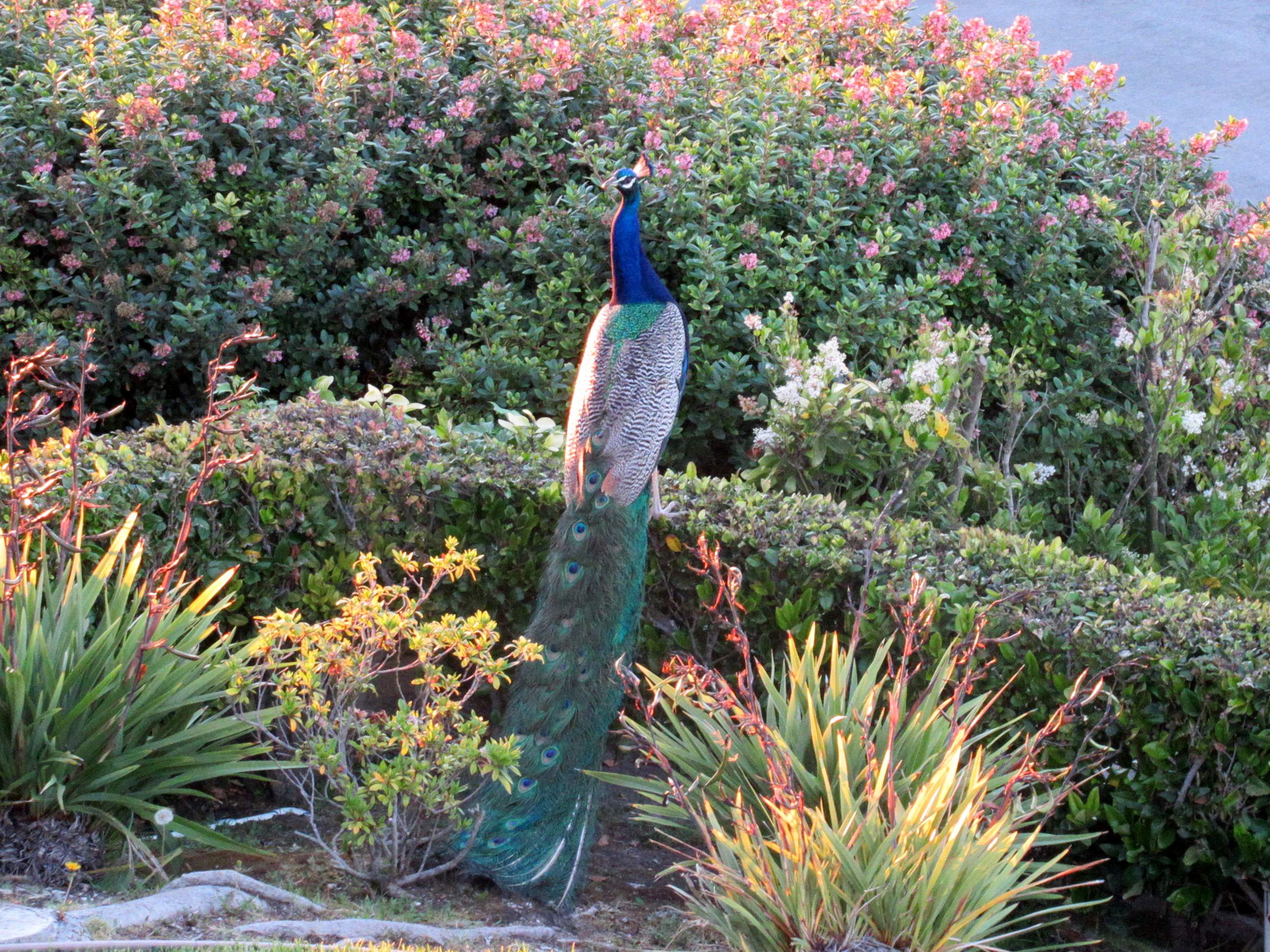 IMG_0304.JPG