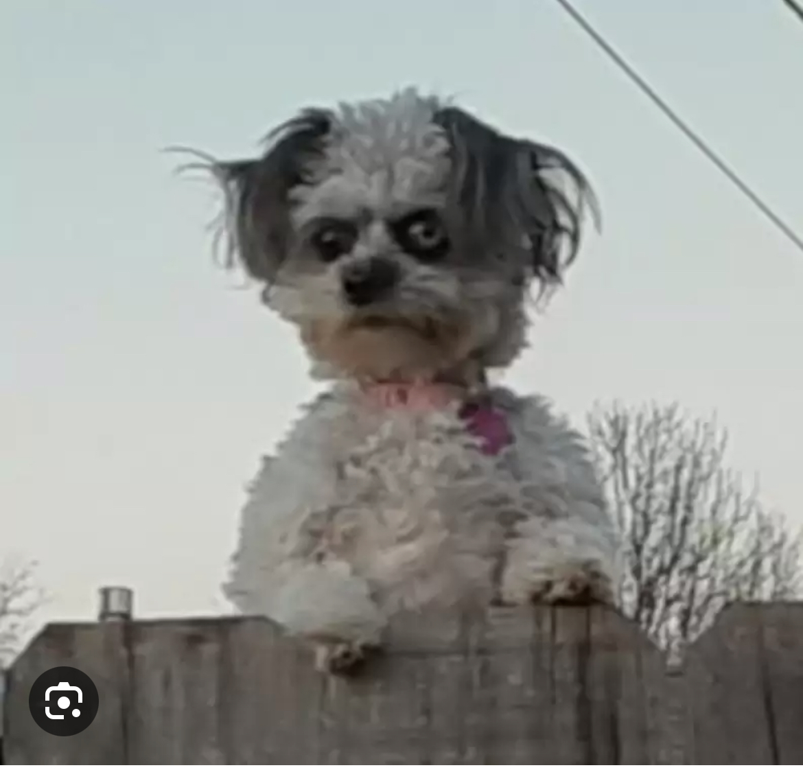 IMG_0315.jpeg