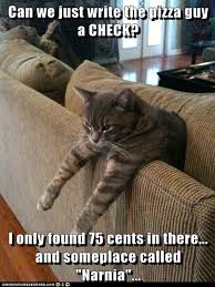 IMG_0321.jpeg