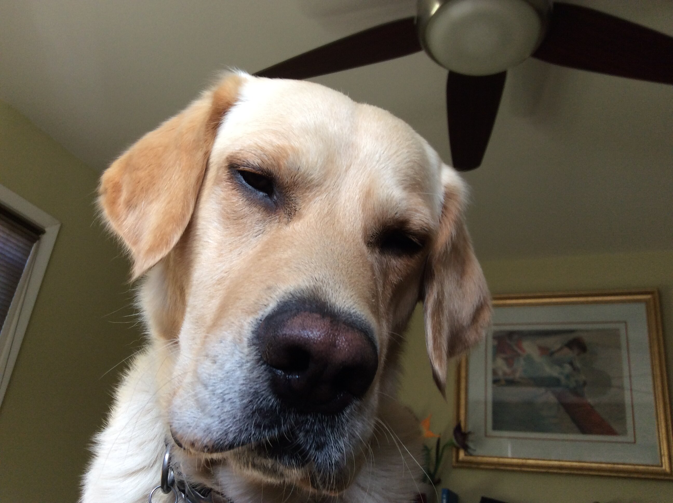 IMG_0331.jpeg