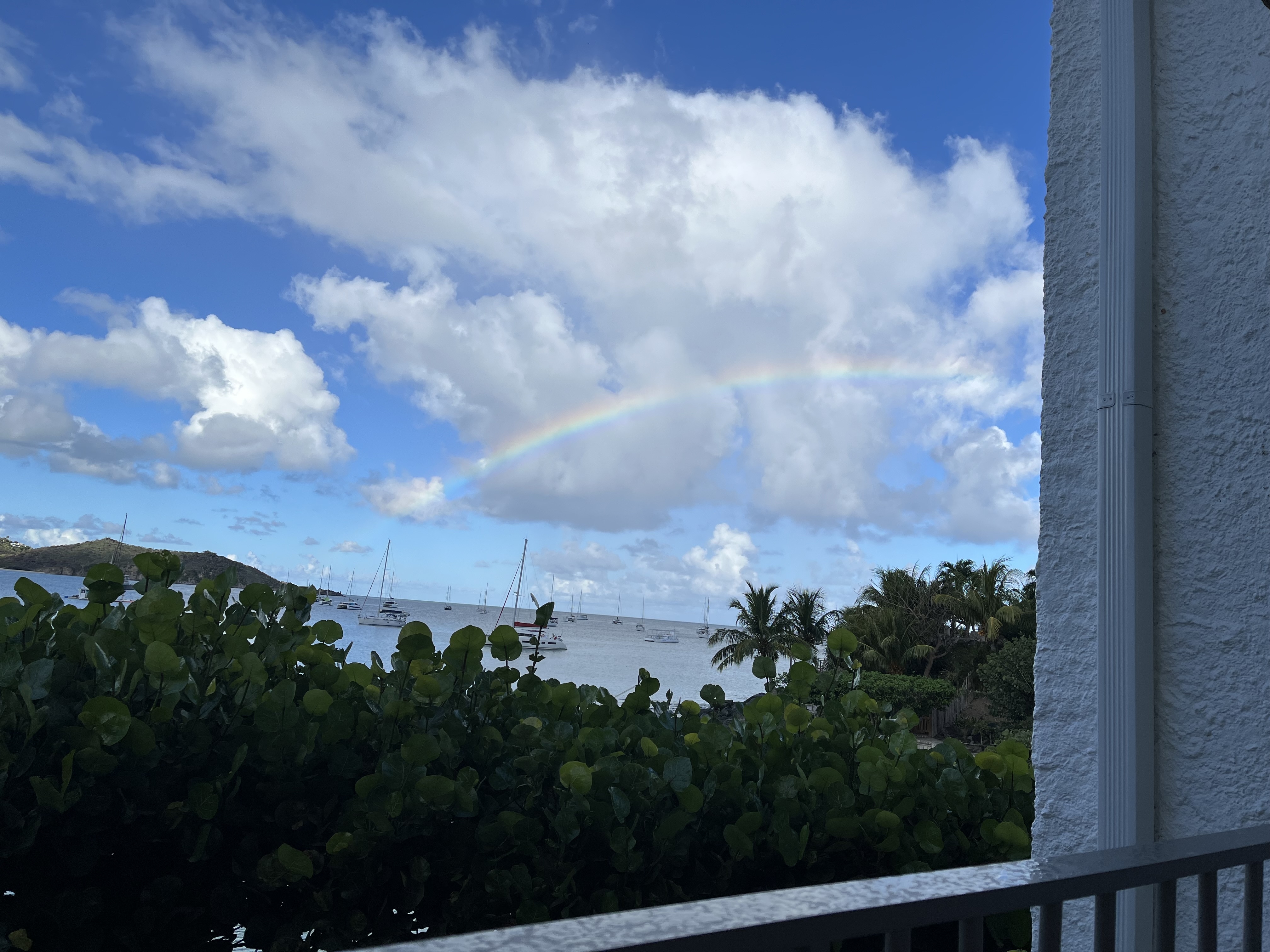 IMG_0336.jpeg