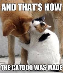 IMG_0369.jpeg