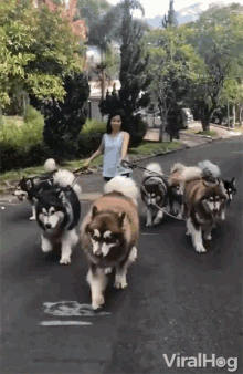 IMG_0374.gif