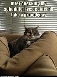 IMG_0376.jpeg