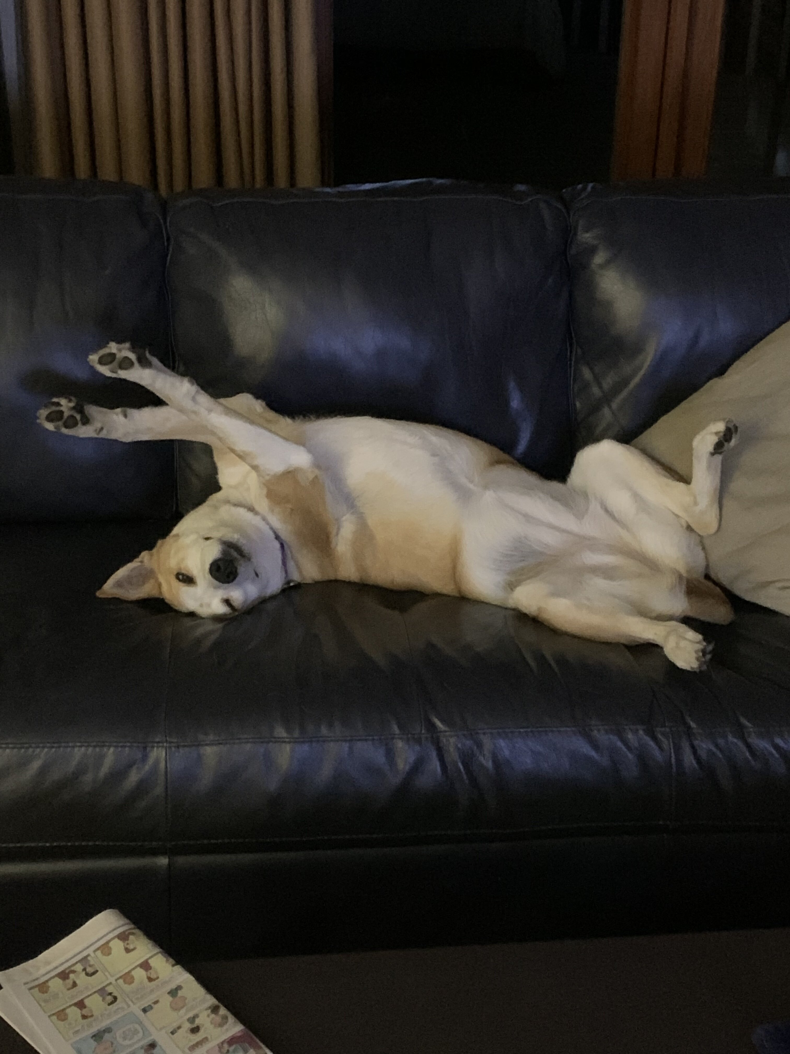 IMG_0379.jpeg