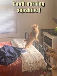 IMG_0381.jpeg