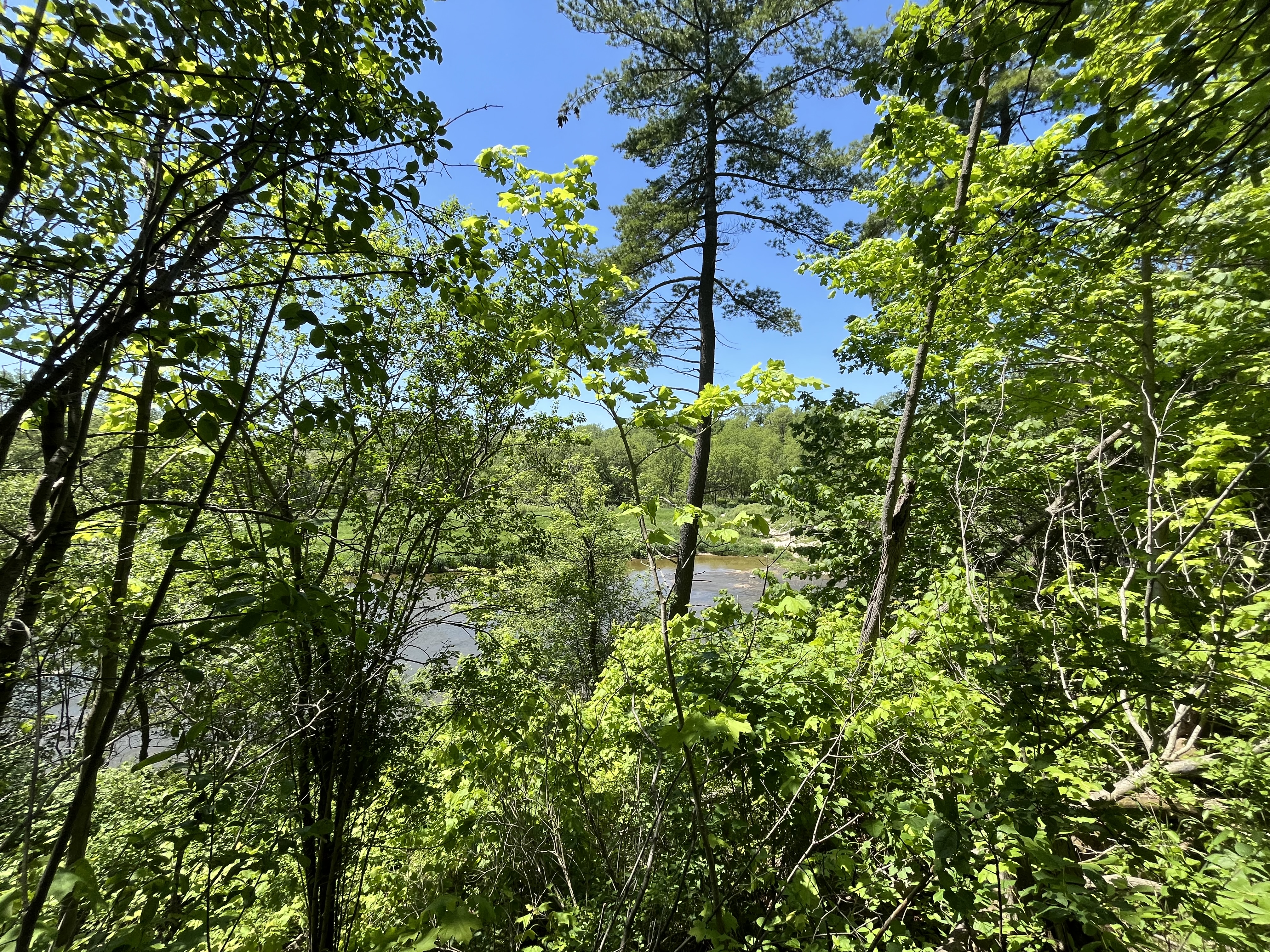 IMG_0383.jpeg
